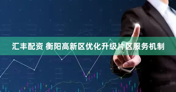 汇丰配资 衡阳高新区优化升级片区服务机制