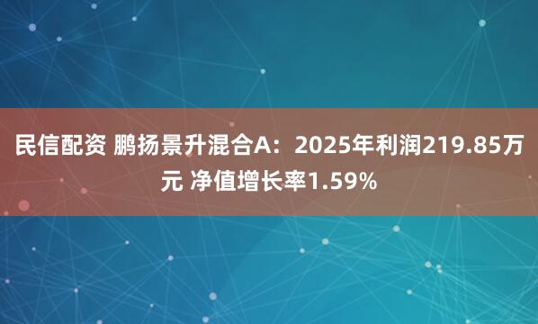 民信配资 鹏扬景升混合A:2025年利润219.85万元 净值增长率1.59%