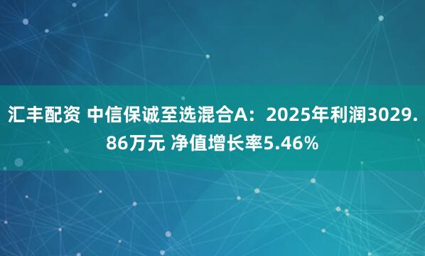 汇丰配资 中信保诚至选混合A：2025年利润3029.86万元 净值增长率5.46%